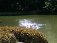 photos 2000-200901814